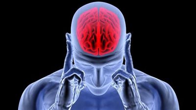 ما هو تأثير التوتر على حجم الدماغ؟