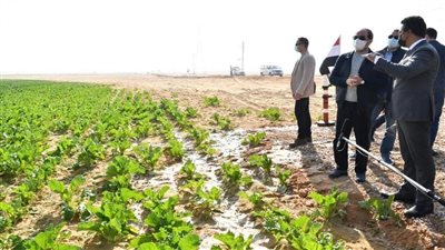 برلمانيون عن مشروع 