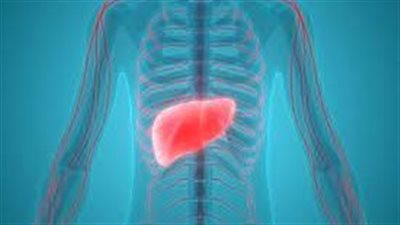 دراسة أمريكية تكشف أن زراعة الكبد لم تتأثر بكورونا في الولايات المتحدة بسبب وفيات المخدرات