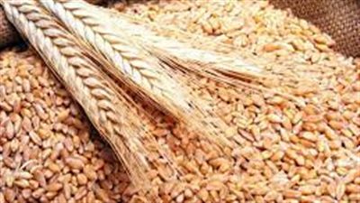 مجلس الوزراء المصري: كافة السلع الغذائية الأساسية متوفرة بشكل طبيعي ومن بينها الأرز