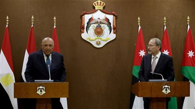 لقاء هام بين وزير الخارجية المصري ونظيره الأردني في دافوس