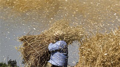  دبلوماسي روسي كبير يطالب برفع العقوبات عن بلاده كشرط لتجنب أزمة غذائية عالمية 
