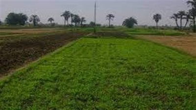 مصر تستهدف زيادة الرقعة الزراعية بمعدل نصف مليون فدان خلال العامين 2023/22