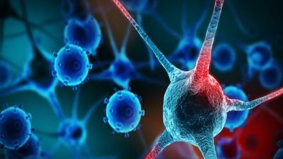  العادات والأطعمة المحفزة للسرطان؟.. طبيب روسي يُجيب