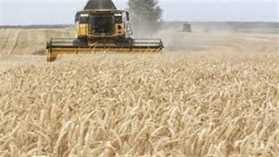 موسكو تعلن عن زيادة كبيرة في صادرات الحبوب