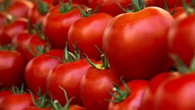 ما هي أسباب انتشار إنفلونزا الطماطم؟