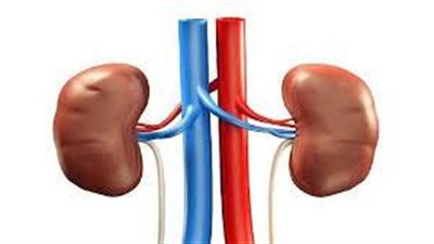 دراسة تحذر من الإفراط في تناول هذا المشروب.. يضر الكلى والقلب