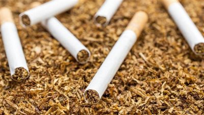 الصحة العالمية: أكثر من 600 ألف شخص من غير المدخنين الذين يموتون سنويًا 