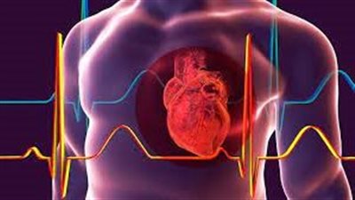 بعد النوبة القلبية.. الطريقة التي يقوم بها القلب بإصلاح نفسه 