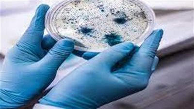 أحذر. وسيلة انتقال للالتهاب الرئوي القاتل المعروف باسم داء الفيالقة