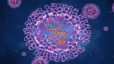 تسجيل أول حالة إصابة بمرض جدري القردة بالمغرب.. والوزارة توضح الحالة الصحية للمصاب