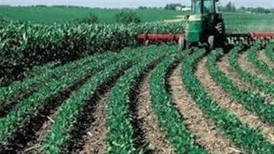 أمريكا.. تداعيات ارتفاع أسعار الوقود في الولايات المتحدة على القطاع الزراعي