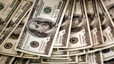  سعر الدولار في مصر وفق بيانات موقع البنك المركزي المصري