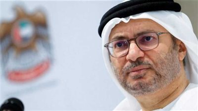 قرقاش يُشيد بكلمة الرئيس الإماراتي في منتدى الاقتصادات الرئيسية