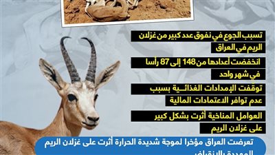 غزلان الريم في العراق تنفق بسبب الجوع