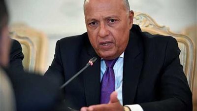 سامح شكري: مصر تبنى منصة لتصدير الغاز إلى أوروبا