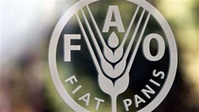 منظمة الأغذية والزراعة للأمم المتحدة تكشف طبيعة الاوضاع بالسودان