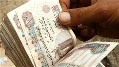  وكالة: سعر الجنيه المصري ينخفض مجددا