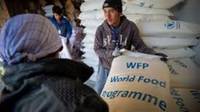 بوتين: روسيا لا تتحمل أي مسؤولية عن أزمة الغذاء العالمية