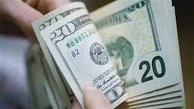 سعر الدولار يشهد استقرارًا في مصر في تعاملات محدودة بشركات الصرافة