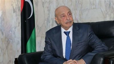 رئيس مجلس النواب الليبي يكشف آخر التطورات حول الانتخابات المقبلة ببلاده