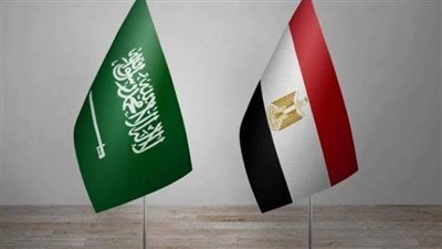 وزير سعودي: المملكة ومصر بينهما توافق في الرؤى