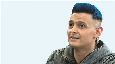 الفنان المصري 