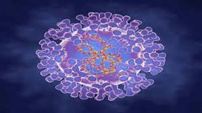 حقيقة ظهور جدري القردة في روسيا