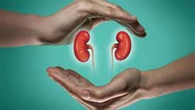  لمرضى حصوات الكلى تعديل نظامهم الغذائي (الأسباب)