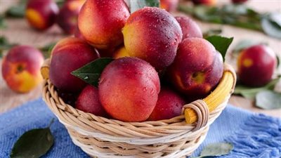  يحمي القلب ويطرد السموم.. خبيرة تغذية توضح أهمية الخوخ