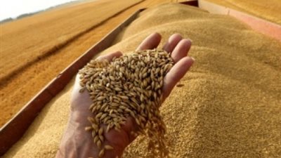  وزارة الخارجية الروسية تكشف طبيعة الاوضاع حول تصدير الحبوب هذا العام