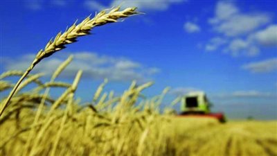 مع استمرار الحرب.. مصير الممرات الإنسانية التي فتحتها روسيا لتصدير الحبوب