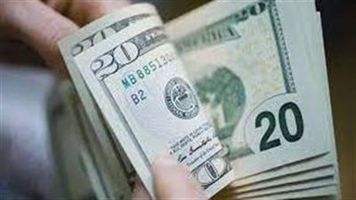  صعود سعر الدولار اليوم البنك المركزي المصري