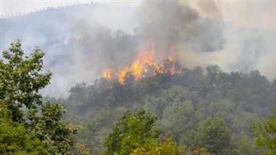  الرئاسة الجزائرية تعلن عن إرسال طائرتين وشاحنات إطفاء إلى تونس