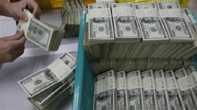 سعر الدولار يشهد استقرارًا اليوم في مصر