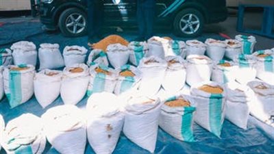 السعودية.. إحباط تهريب نحو 15 مليون حبة كبتاغون في ميناء جدة