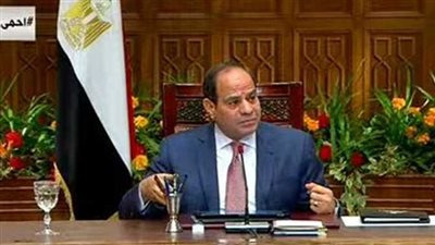 برلمانية مصرية: السيسي حريص على تمكين الأسر من تخطي التحديات الراهنة