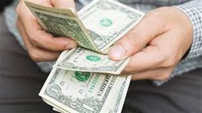 تقرير يوضح سعر الدولار اليوم بمصر 