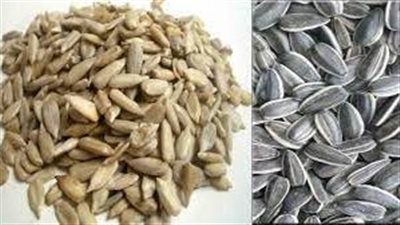 ماذا يحدث عند تناول بذور عباد الشمس؟.. خبيرة تغذية توضح