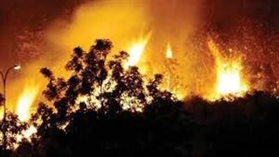 اليونان تكافح ثلاثة حرائق غابات رئيسة في مناطق مختلفة