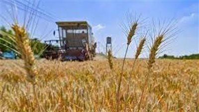 قلق دولي من احتمال انهيار الاتفاق الذي تم التوصل إليه بشأن تصدير الحبوب الأوكرانية 