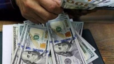  سعر الدولار اليوم في مصر تشهد استقرارا نسبيا 