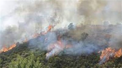 النيران تشتعل مجددا في عدة بؤر بشمال المغرب