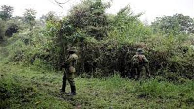  الكونغو الديمقراطية.. مقتل 5 أشخاص اليوم على الأقل في غوما شرق البلاد الأفريقي