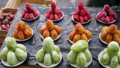 فوائد التين الشوكي للتخسيس