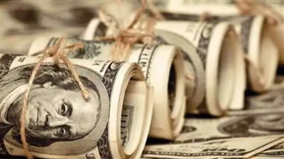 سعر الدولار في مصر يشهد استقرارًا
