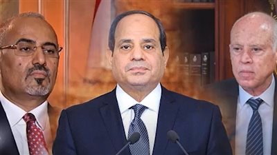 السيسي والزُبيدي وقيس سعيد.. رؤساء أنهوا أسطورة تنظيم الإخوان