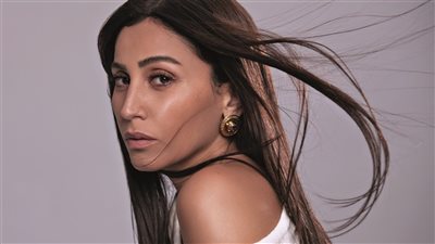  تفاصيل جديدة بشأن مسلسل النجمة المصرية دينا الشربيني