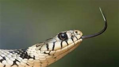 عمال أحد فروع مطعم 