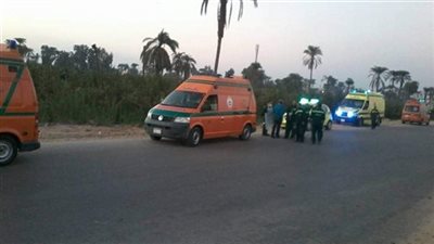 مصر.. مصرع 8 أشخاص جراء حادث سير في المنيا